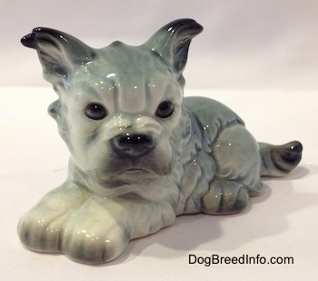 The front left side of a white with black French Bull Tzu. The figurine has black tipped ears.