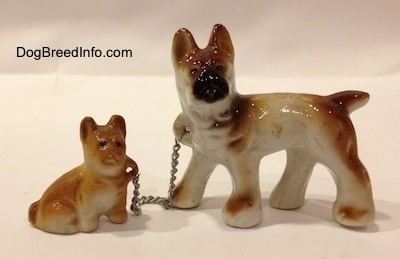 The right side of a brown with white and black French Bulldog that has a chain attached to a sitting Frenchie puppy figurine.