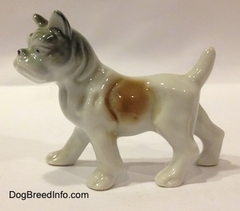 The left side of a porcelain white with brown and green French Bulldog figurine that is in a standing position. The figurine has a its ears in the air and its short tail is arched up.