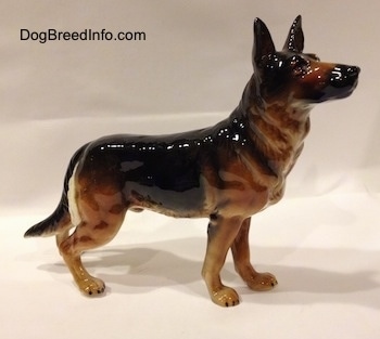 The right side of a black and tan standing German Shepherd figurine. The figurine has fine details along its body.