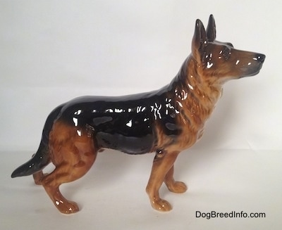 The right side of a brown with black German Shepherd figurine. The figurine is looking up.