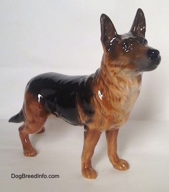 The front right side of a figurine of a brown with black German Shepherd standing, The figurine has fine hair details on its chest.