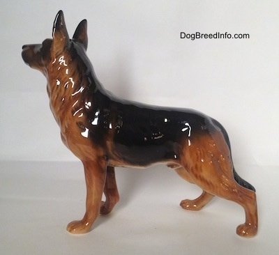 The left side of a brown with black figurine of a standing German Shepherd. he figurine has long legs.
