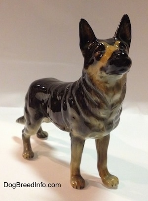 The front right side of a black with tan figurine of German Shepherd standing. The figurine is looking up and it has a black muzzle.