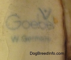 Close up - The underside of a porcelain German Shepherd figurine that has the logo of Goebel W.Germany stamped on it.