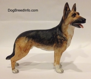 The right side of a realistic porcelain black and tan with white German Shepherd standing figurine. The figurine has white paws with black nails.
