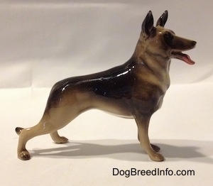 The right side of a smooth black with tan figurine of a German Shepherd standing. The figurine is glossy.