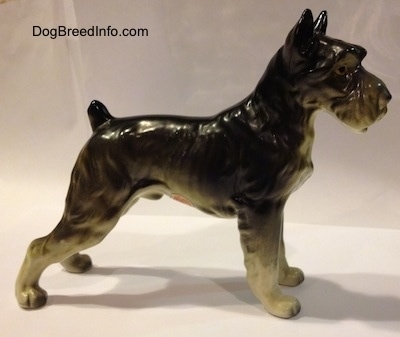 The right side of a black, grey and white Giant Schnauzer bone china figurine. The figurine has a short tail that is arched in the air.