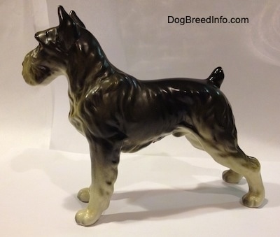 The left side of a bone china black, grey and white figurine of a Giant Schnauzer. The figurine has its ears in the air.