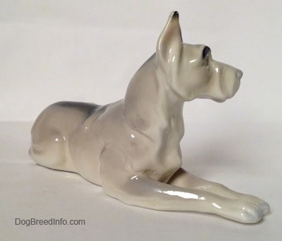The front right side of a figurine of a white with black Great Dane that is laying down. The figurine has a detailed chest.