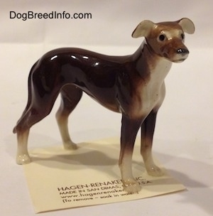 The front right side of a brown with white Greyhound figurine. The figurine has small black eyes.