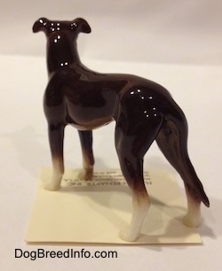 The back left side of a brown with white Greyhound. The figurine has a glossy backside.