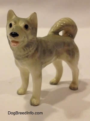 The front left side of a figurine of a grey and white Husky. The figurine has a medium sized legs and grey tipped paws.