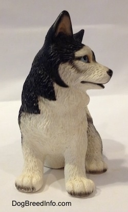 The front of a figurine of a black and white Husky figurine. The figurine has big furry paws a black nose and blue eyes.