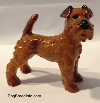 The right side of hairy golden red Irish Terrier dog  figurine. The figurine has black circles for eyes, a black nose, a tail that is up in the air over its back and small fold over ears. Its muzzle is square in shape.