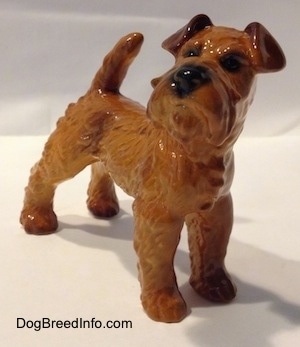 The front right side of a golden red Irish Terrier figurine. The figurine has short flopped over ears.