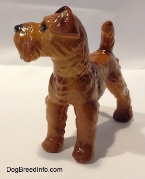 A hairy Golden red Irish Terrier figurine has a short body and short legs.
