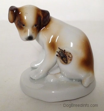 The left side of a brown and white Jack Russell Terrier figurine that has a fly on its side. The figurine has black circles for eyes and it is looking down at the fly.