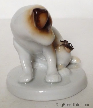 A brown and white Jack Russell Terrier figurine that is on a round base. The figurine has medium sized legs and it has flopped over brown ears.
