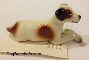 The right side of a white with brown and black figurine of a Jack Russell Terrier dog in a lying down pose. The figurine is very glossy.
