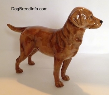 The right side of a figurine of a brown Labrador Retriever. The figurine has glossy ears that are flopped over.