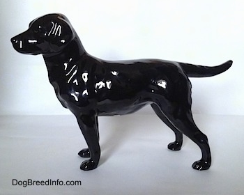 The left side of a black Labrador Retriever figurine in a standing pose.