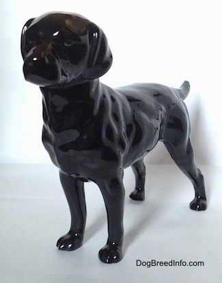 The front left side of a black Labrador Retriever figurine that has black circles for eyes and it is looking forward.