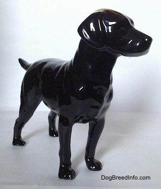The front right side of a figurine of a black Labrador Retriever. The ears of the retriever are black and attached to its head.