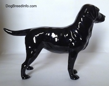 The right side of a black Labrador Retriever figurine. The figurine is glossy.