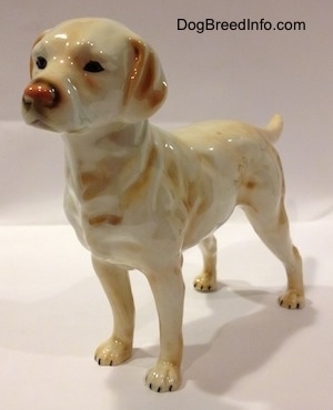 The front left side of a yellow Labrador Retriever figurine. The figurine has a brown nose and it is glossy.