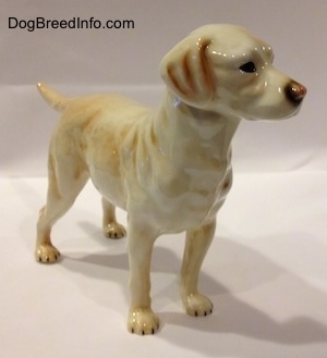 The front right side of a yellow Labrador Retriever figurine.