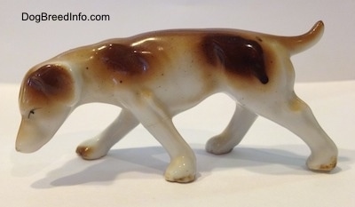 The left side of a brown and white Lurcher figurine that is sniffing the ground. It has its tail arched in the air.