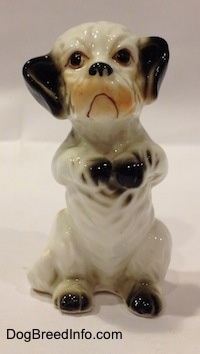 A bone china white with black Peek-A-Poo figurine that is in a begging pose. The figurine looks like a grumpy old man.