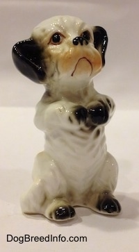 The front right side of a bone china figurine of a white with black Peek-A-Poo in a begging pose. The figurine has black ears.