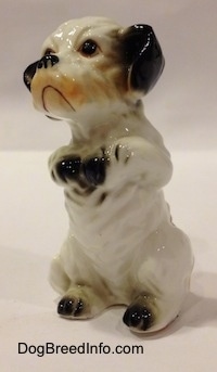 The front left side of a bone china figurine of a white with black Peek-A-Poo in a begging pose. The figurines paws are black.
