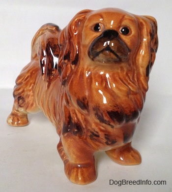 A brown and tan with black Pekingese figurine is looking up and towards the left.