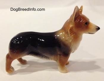 The right side of a black and tan Pembroke Welsh Corgi figurine. The figurine has white paws.