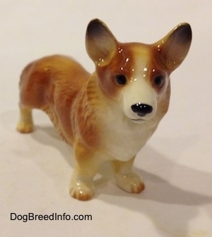 The front right side of a porcelain figurine that is of a brown with white Pembroke Welsh Corgi. The figurine has black circles for eyes. Its legs are short and low to the ground. It has bat ears that are set wide apart.