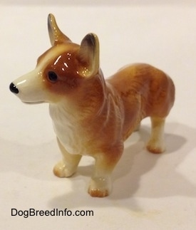 The front left side of a brown with white Pembroke Welsh Corgi figurine. The figurine has brown nails at the top of its white paws.
