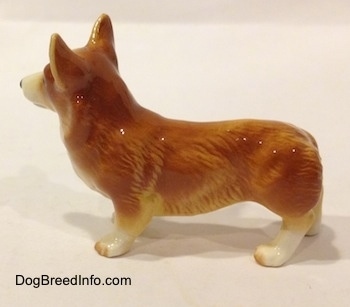 The left side of a porcelain brown with white Pembroke Welsh Corgi. It has a long body and short legs.