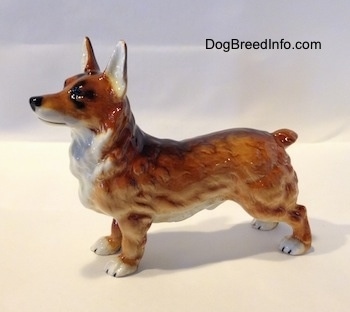 The left side of a porcelain figurine that is of a brown with white and black Pembroke Welsh Corgi. The figurine has very detail hair. Its legs are short and it has a long body and perk ears that stand up. It has a very short nub for a tail.