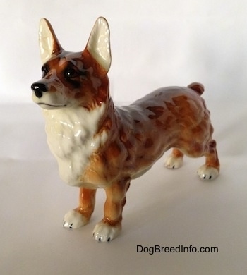 The front left side of a brown with white and black Pembroke Welsh Corgi porcelain figurine. The figurine has white paws with black nails. Its ears are tall with white on the inside. It has a black nose and black eyes.