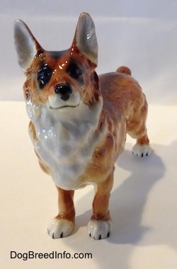 A brown with white and black porcelain Pembroke Welsh Corgi figurine. The figurine has a detailed face with a black  nose, black eyes a white chest going up to the chin and a black painted line for a mouth.