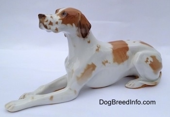 The front left side of a porcelian white with brown Pointer in a lying pose figurine. The figurine has long ears down the side of its head.