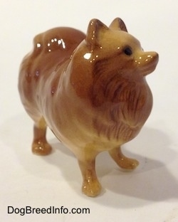 The front right side of a figurine of a brown with tan Pomeranian standing. The figurine has short ears that are in the air.