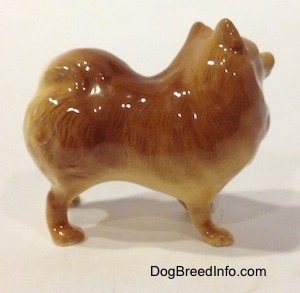 The right side of a brown with tan Pomeranian standing figurine. The figurine has a glossy side.