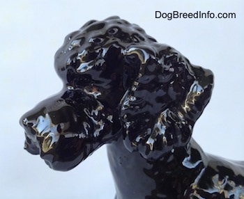 Close up - The head of a black Poodle figurine that has brown eyes.
