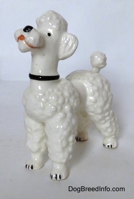 The front left side of a Poodle figurine that is white. The figurines mouth is open and it is looking up.