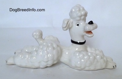 The right side of a white Poodle figurine with a black collar that is in a lying pose.