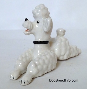 The front left side of a white Poodle figurine in a lying pose. The figurine has black tipped nails.